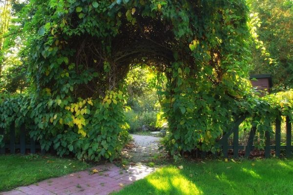 The Brewster Inn (Cazenovia)